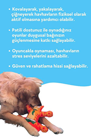 Mihav Sesli Köpek Oyuncağı Turuncu Renkli Kedi Şekilli Köpek Diş Kaşıma Oyuncağı