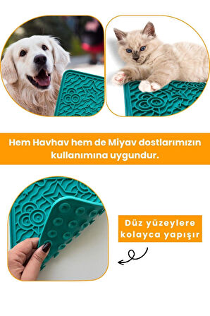 Havhav Turkuaz Renkli O'yalama Matı Köpek Ve Kedi İçin Yalama Matı Vakumlu Lickmat