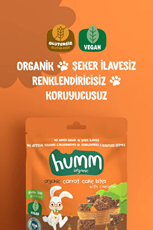 Humm Organic Organik Glutensiz Vegan Havuçlu ve Tarçınlı Kek Atıştırmalık Paketi - 30 G X 6 adet