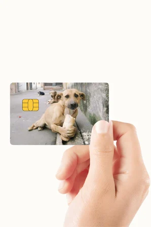 Ekmek Yiyen Köpek Tasarımlı Kredi Kartı Ve Akbil Kaplama Sticker