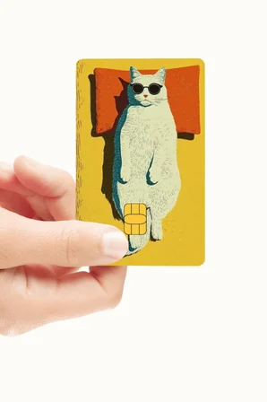 Sevimli Kedi Sahil Mod Kart Kaplama Sticker (Yüksek Kalite)