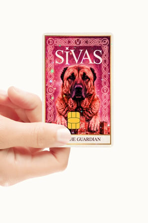 Sivas - The Guardian Pembe Kart Kaplama Sticker Kart Etiketi (Yüksek Kaliteli Hologramlı Baskı)