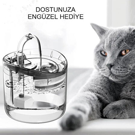 Otomatik Pet Su Çeşmesi Şeffaf Tasarım 2L Kapasiteli Kedi Köpek Sebil Musluk Sessiz Pompa Filtreli