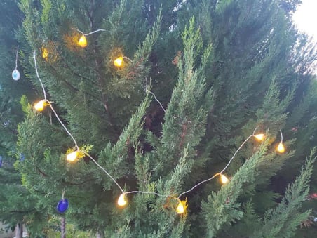 Deniz Kabuklu Pilli Dekoratif Led Işık Yılbaşı Süsü 2 Metre