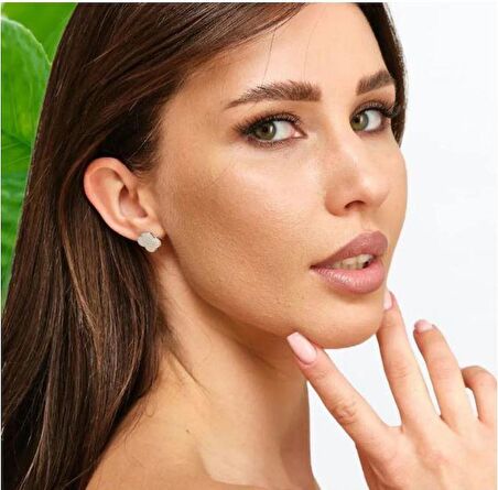 Yonca küpe 2024 yeni yüksek kalite 316 L takı Dört Yapraklı 0.8 Mm Yonca Klasik Logo lüks Kadın part