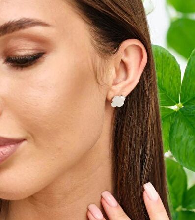 Yonca küpe 2024 yeni yüksek kalite 316 L takı Dört Yapraklı 0.8 Mm Yonca Klasik Logo lüks Kadın part