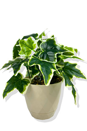 Yapay Mini Saksıda Hedera Helix Sarmaşık 28 Cm Krem Saksı