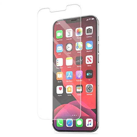 Ally İphone 12/12 6.1 Matte Hd Tempered Cam Ekran Koruyucu-(5775)