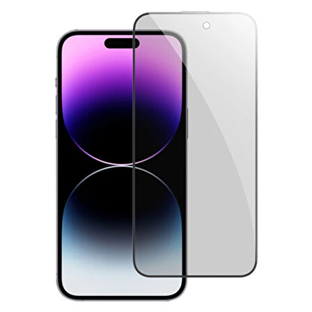 Ally 15 Privacy Hayalet Full Koruma Tempered Cam Ekran Koruyucu-(5775)