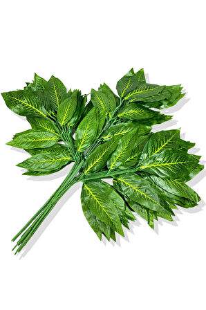 Sarı Mineli Yeşil Ceviz Demet 12 Adet 70 Cm