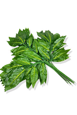 Sarı Mineli Yeşil Ceviz Demet 12 Adet 70 Cm