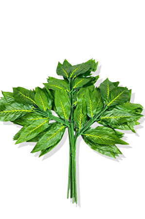 Sarı Mineli Yeşil Ceviz Demet 12 Adet 70 Cm