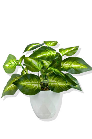 Yapay Mini Saksıda Salon Bitkisi 28 Cm Beyaz Saksı