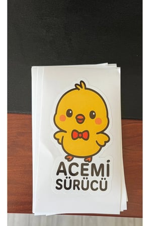 Acemi Sürücü Oto Sticker 7x15 cm