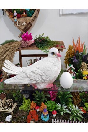 Güvercin Dekoratif Biblo Gerçek Güvercin Boyutunda Bahçe Güvercini Posta Güvercini Beyaz Güvercin