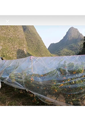 Naksan Kalın Naylon Branda Kurban Kesim Naylonu Bahçe Sera Naylonu 4x6 Eni 4 Mt Boyu 6 Mt