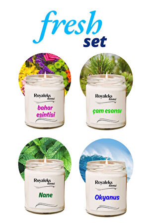 4 Adet Doğal Özel Seri Kokulu Dekoratif Kavanoz Mum 4X210 cc - Fresh Set - RYL