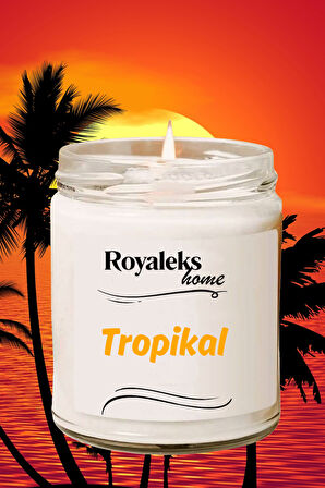 4 Adet Doğal Özel Seri Kokulu Dekoratif Kavanoz Mum 4X210 cc - Tropikal Set - RYL