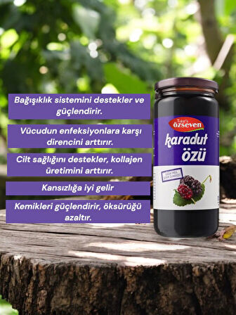 Özseven Karadut Özü 300gr