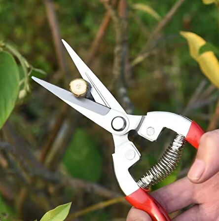 Bitkiler Ve Çiçekler Için Bahçe Budama Makası Üzüm Bağı Dal Fidan Budama Makası