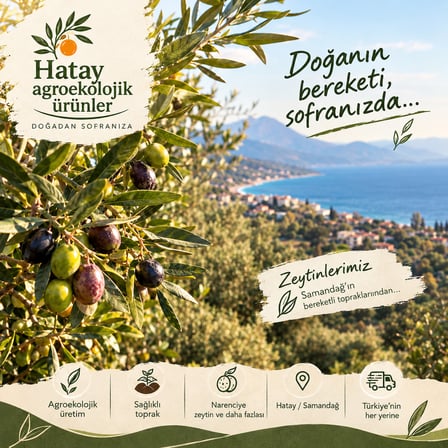 Hatay Erkenci Mandalina 10 kg