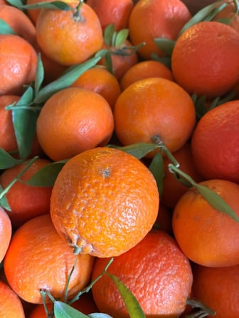 Hatay Erkenci Mandalina 10 kg