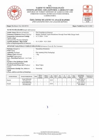 Hatay Erkenci Mandalina 10 kg