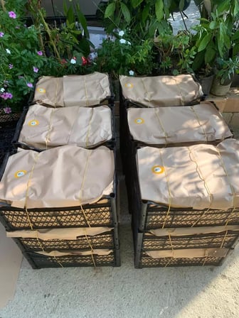 Hatay Erkenci Mandalina 10 kg