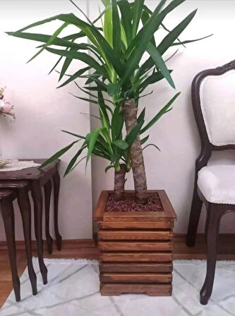 Ahşap Saksı 30x25 X25 Dekoratif Kestane rengi