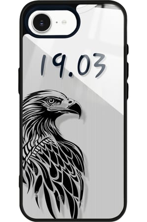 Apple iPhone 16E Uyumlu Karakartal Tasarımlı Parlak Silikon Kılıf