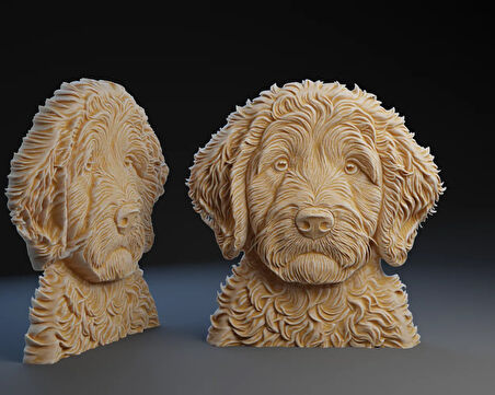 Golden Köpek Doodle Figürü