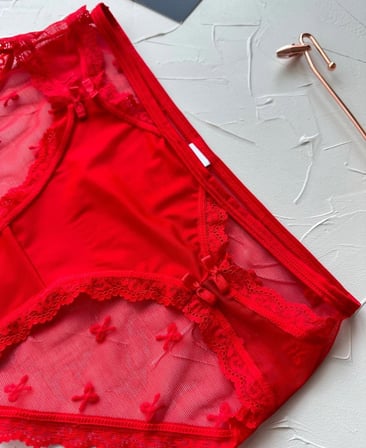 Arya Japon Style Arkası Tül Cut-Out Dantel Detaylı Cheeky Külot/Slip-2853