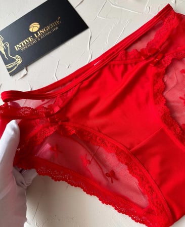 Arya Japon Style Arkası Tül Cut-Out Dantel Detaylı Cheeky Külot/Slip-2853