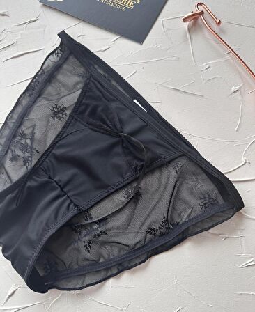 Lucia Japon Style Arkası Tül Saten Kurdele Detaylı Cheeky Külot/Slip-2858
