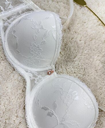 Le Jardin Charlotte Güpür Dantelli Balenli Desteksiz Silikonlu Sütyen -7001