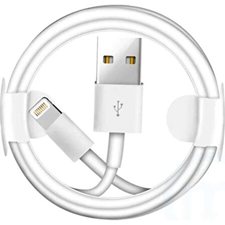 iPhone 5 Data Kablo USB Apple iPhone 5 5S 6 6S 6 Plus 6S Plus 7 7 Plus 8 X uyumlu şarj kablosu