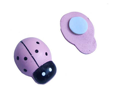 PEMBE MİNİK UĞUR BÖCEKLERİ (50'l1 Paket)