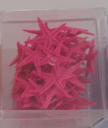 Pembe Minik Deniz yıldızı 100 lü kutu