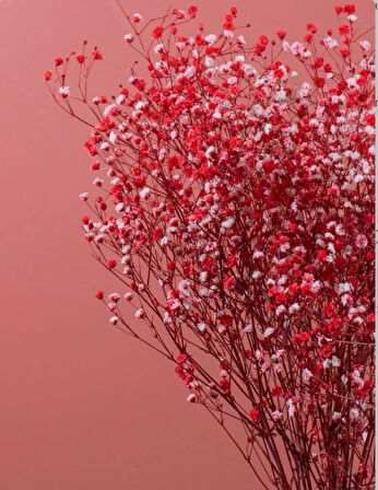 Bordo  Şoklanmış Renkli Cipso