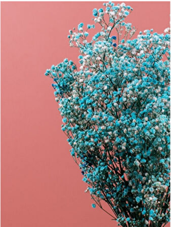 Mavi   Şoklanmış Renkli Cipso