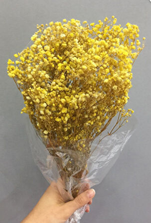 Sarı   Şoklanmış Renkli Cipso