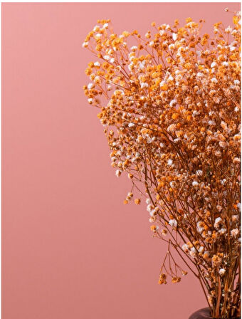 Turuncu    Şoklanmış Renkli Cipso