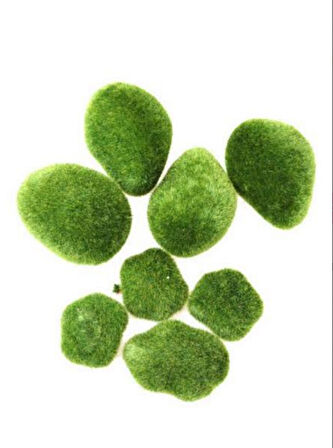 Teraryum Doğal Görünümlü Köpük Taş Yosun 8li Paket