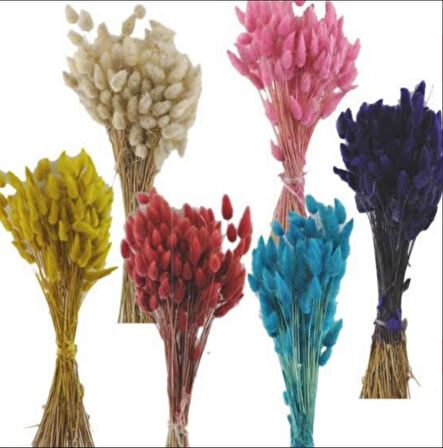 Krem  Doğal kuru pamuk otu