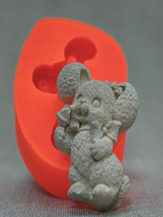 Tavşan Sabun Kalıbı ve Kokulu Taş Kalıbı