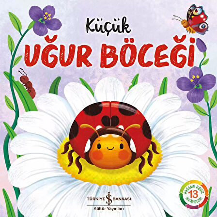 Küçük Uğur Böceği - Doğanın Eşsiz Hikâyeleri 13