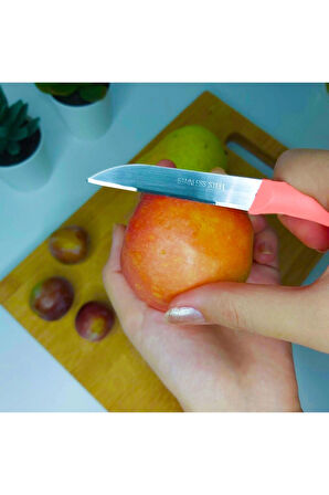 Tujo Paslanmaz Çelik 6'lı Meyve Bıçağı