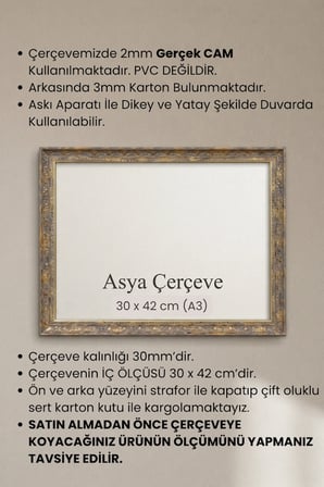 30 x 42 cm (A3 ebat) İstanbul Serisi İşlemeli Camlı Oda Mutfak Salon Koridor Poster ve Resim Çerçevesi