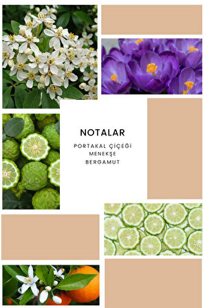 Ixora K086 Alida Edp Kadın Parfüm 100 ml