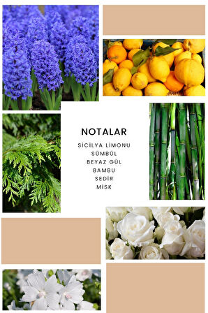 Ixora K178 Love Edp Kadın Parfüm 50 ml